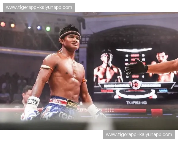 拳风激荡：中国散打与泰拳的巅峰对话